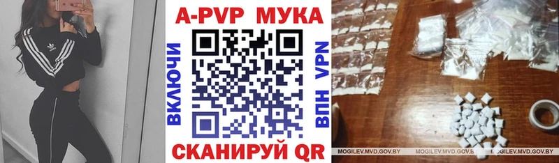 магазин    Рузаевка  ссылка на мегу ONION  A PVP крисы CK 