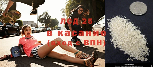 шишки Аркадак