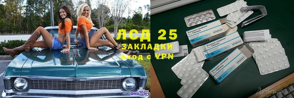 мет Алексин