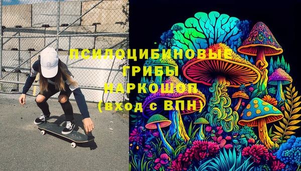 МДПВ Алзамай