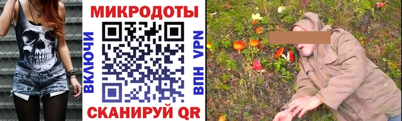 Галлюциногенные грибы Psilocybe  Рузаевка 